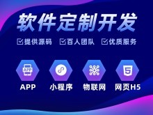 雷州网站建设与湛江软件开发 数字化时代的企业引擎