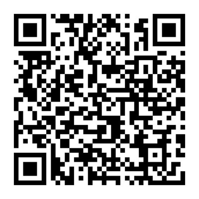 湛江市中级人民法院软件开发服务 成品软件租赁购买项目的全面解析与展望